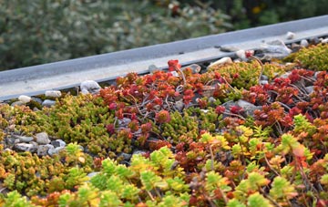 the cost of Waleswood green roof installation