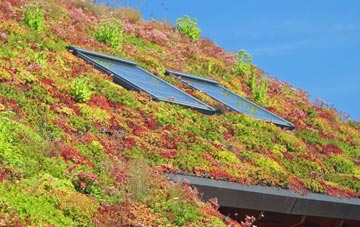 Waleswood living roof systems